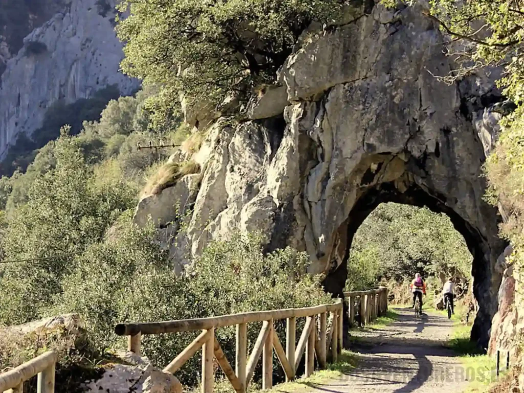 SENDA DEL OSO EN BICI