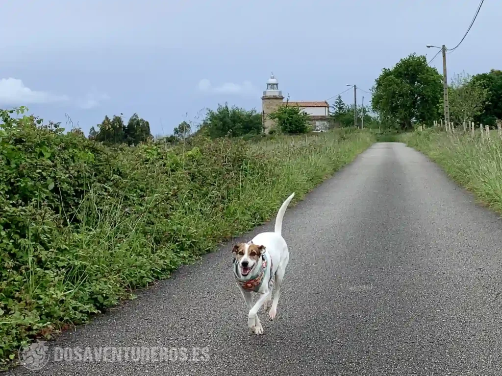 asturias con perro