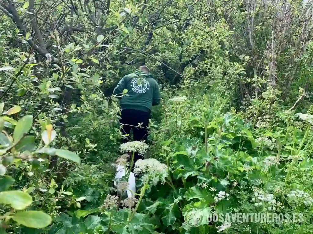 cascada la mexona asturias