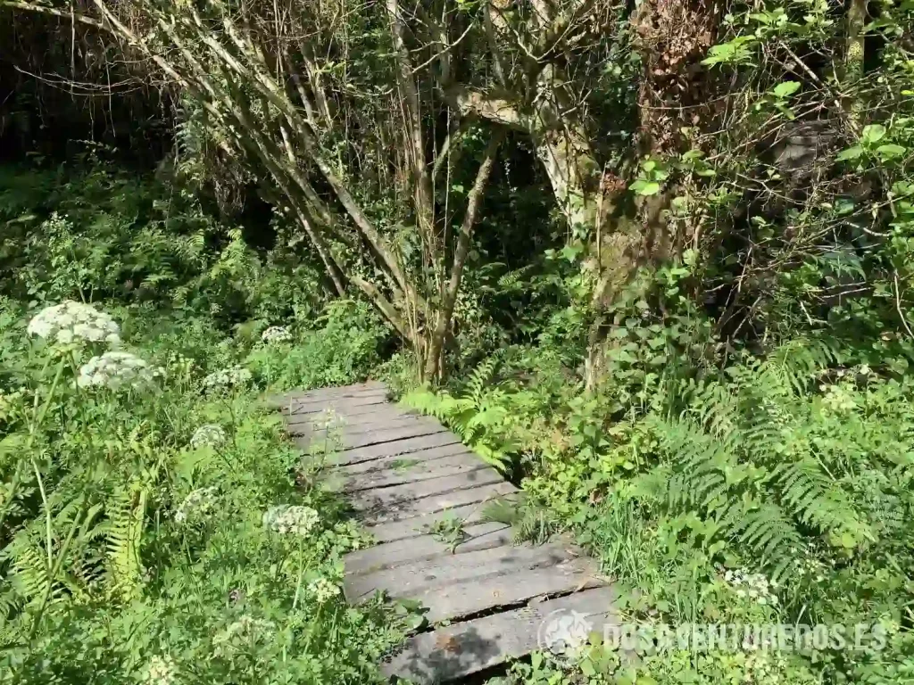 cascada la mexona puente madera