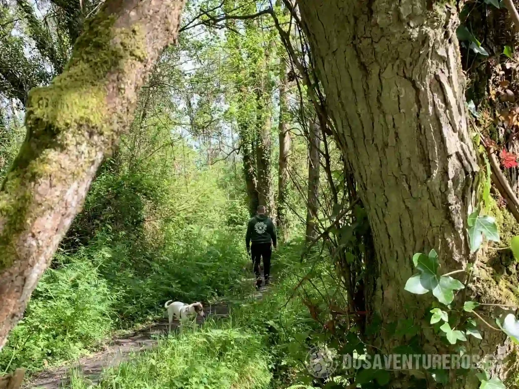 ruta cascada la mexona villaviciosa