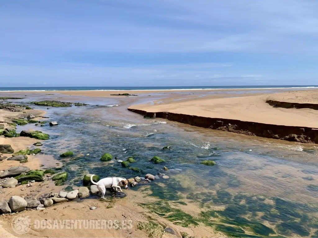 playa la griega colunga
